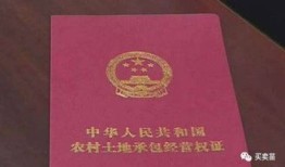 有土地房产证怎么确权(有土地房产证怎么确权过户)
