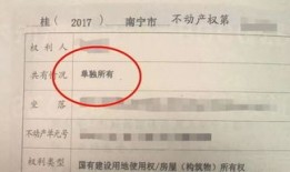 房产证户名怎么查得到(房产证户名怎么查得到信息)