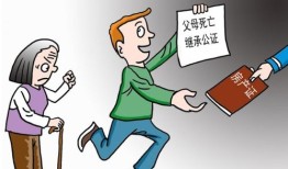 打继承官司后怎么分房产(继承打官司很麻烦吗)