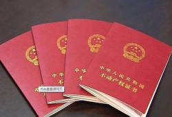名下有房产签证怎么查询(名下有房如何查询)