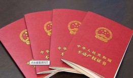 名下有房产签证怎么查询(名下有房如何查询)