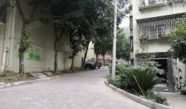 大龙房产中介怎么样(大龙房地产公司)
