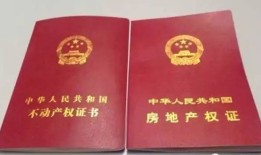怎么查明下的房产证(怎么查明下的房产证是谁的)