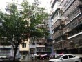 蓬安菜姐房产怎么样(蓬安菜姐房产怎么样啊)