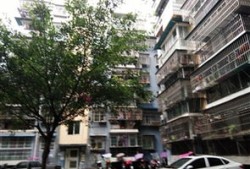 蓬安菜姐房产怎么样(蓬安菜姐房产怎么样啊)