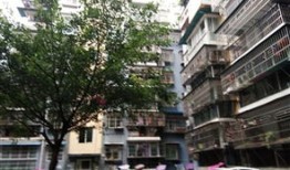 蓬安菜姐房产怎么样(蓬安菜姐房产怎么样啊)