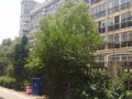 上海同丰房产怎么样(上海同丰房产怎么样啊)