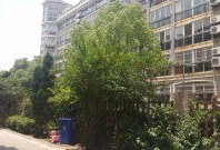 上海同丰房产怎么样(上海同丰房产怎么样啊)