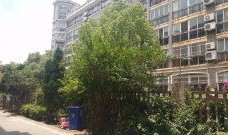 上海同丰房产怎么样(上海同丰房产怎么样啊)
