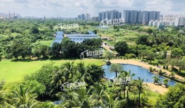 临高房产未来前景怎么样(临高房子发展前景如何)