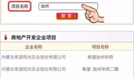 怎么查房产项目名称查询(怎么查房产项目名称查询结果)