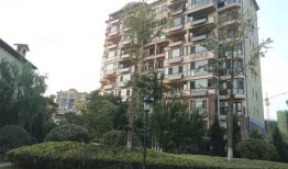 一诺房产直播怎么样(一诺房产中介怎么样)