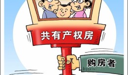 共有产权人房产怎么过户(共有产权房怎么过户到一个人名下)