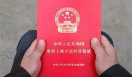 没有土地房产证怎么申请(没有土地证的房子可以办理不动产证吗)