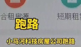 房产公司跑路怎么处理的(房产公司跑路怎么处理的呢)