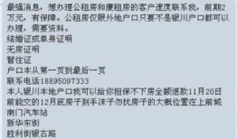 当前房产处置情况怎么填(房产处置情况说明)