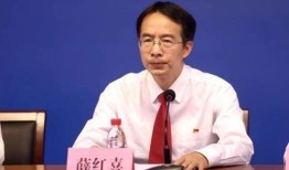 南阳李恒房产怎么样(南阳市李恒军)