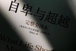 抖音宣传房产文案怎么写(抖音宣传房产文案怎么写好)