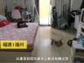 打工人的夫妻房产怎么分(打工夫妻租房图片)