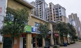 怎么混进武汉房产中介群(武汉本地房产中介)