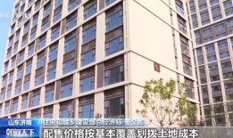 乐陵万泰房产怎么样(菏泽万泰乐居)