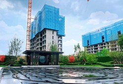陕西盛和房产怎么样(陕西盛和项目管理有限公司)