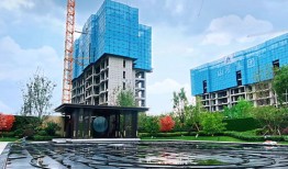 陕西盛和房产怎么样(陕西盛和项目管理有限公司)