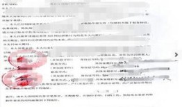 房产抵押怎么办签证流程(去房产局抵押签字内容是什么)