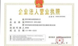 房产营业执照怎么办理(房产营业执照怎么办理的)