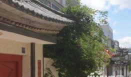 大理大帅房产怎么样啊(大理大帅将军府)
