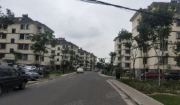 长垣大杨哥房产怎么样(大杨哥是干什么的)