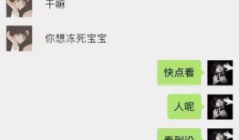 老嫂子说房产怎么回复对方(客户说房子老怎么回答)