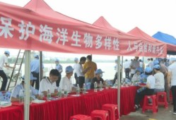 五一房产宣传方案怎么写(五一房产活动宣传词)