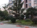 南明房产公司怎么样(南明楼盘)
