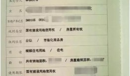 江西省的房产怎么查(江西房产查询系统)
