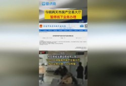 暂停房产交易了怎么恢复(暂停房产交易了怎么恢复原状)