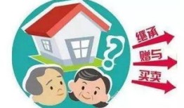 子女意外过世房产怎么办(子女意外过世房产怎么办理)