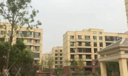 潍坊德旭房产怎么样(潍坊德旭房产怎么样啊)