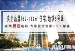 摇号买房怎么置换房产(摇号买的房子怎么转让)