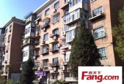 温岭佳乐房产怎么样(温岭佳园小区房子多少一平方)