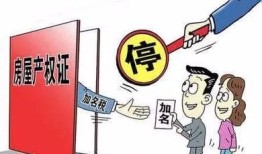 房产证加减名字怎么缴税(房产证加名字减名字税费的问题)