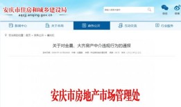 上网查房产怎么查的出(怎么在网上查询房产)