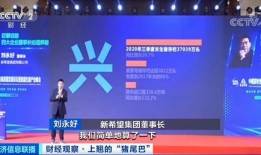 伟星房产消费券怎么用(伟星房产消费券怎么用不了)