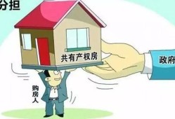 没有申请房产保全怎么办(没有申请房产保全怎么办理)