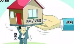 没有申请房产保全怎么办(没有申请房产保全怎么办理)