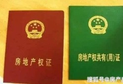 继子的房产证怎么查(继子有房产继承权吗)