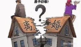 兄妹能分房产吗怎么分割(兄妹的房产可以继承吗)