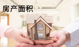 房产证面积怎么查看的(房产证的面积如何确定)