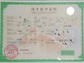怎么给娃娃过户房产证明(怎么给娃娃过户房产证明模板)