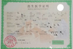 怎么给娃娃过户房产证明(怎么给娃娃过户房产证明模板)